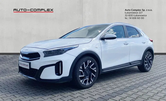 kia małopolskie Kia XCeed cena 107800 przebieg: 39000, rok produkcji 2023 z Prudnik